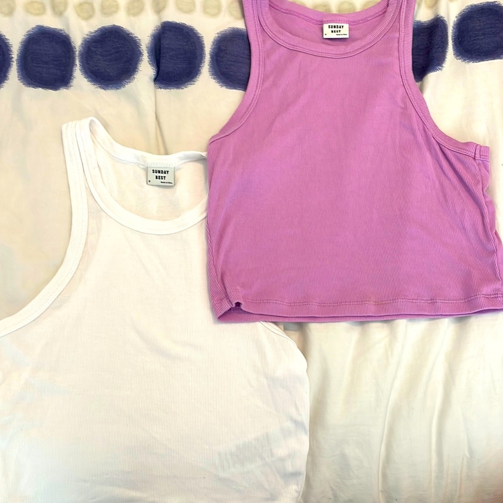 Aritzia Sunday Best Honor Tank